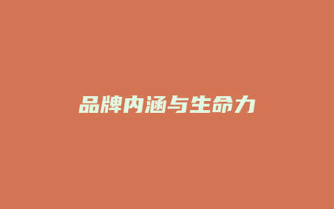 品牌内涵与生命力
