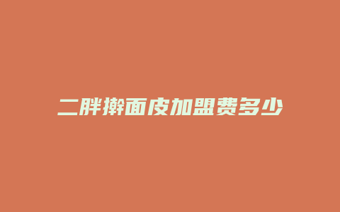 二胖擀面皮加盟费多少