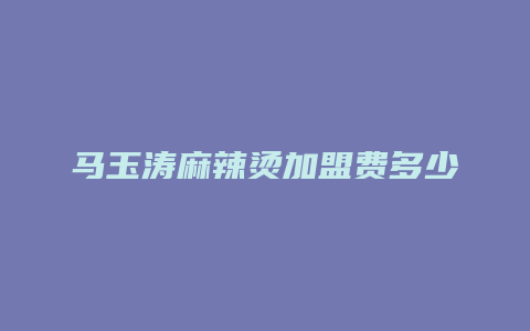 马玉涛麻辣烫加盟费多少钱