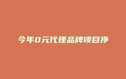 今年0元代理品牌项目挣钱