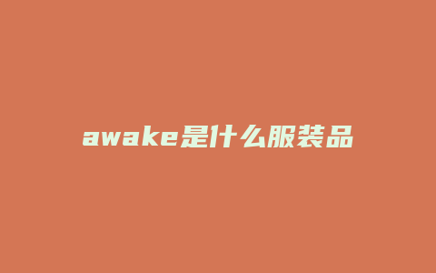 awake是什么服装品牌