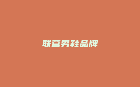 联营男鞋品牌