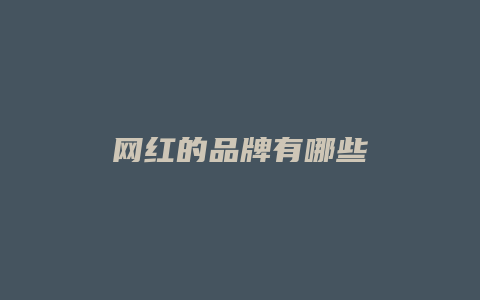 网红的品牌有哪些