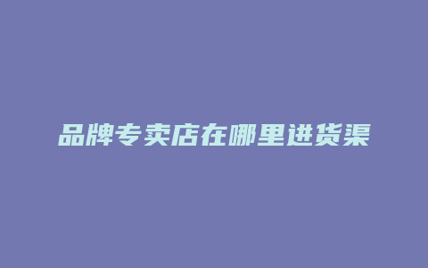 品牌专卖店在哪里进货渠道